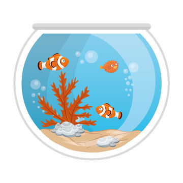 aquarium clown fishes and blowfish with water, seaweed, aquarium marine pet vector illustration design