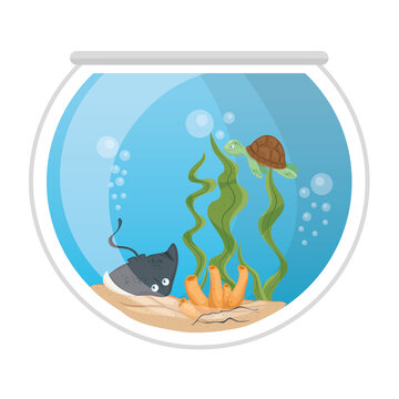 aquarium stingray and tortoise with water, seaweed, coral, aquarium marine pet vector illustration design