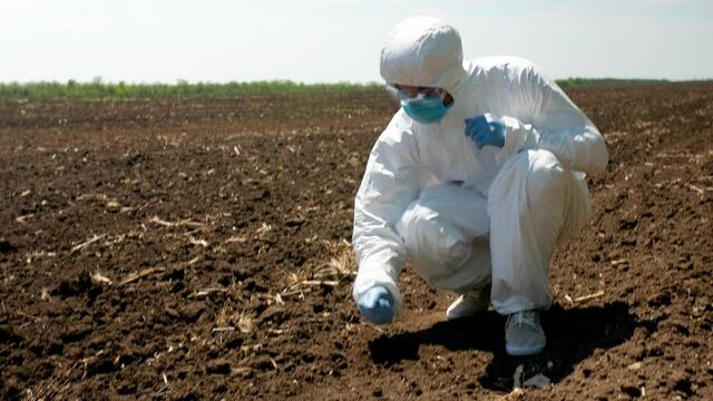 Scientist studying sample of soil in field