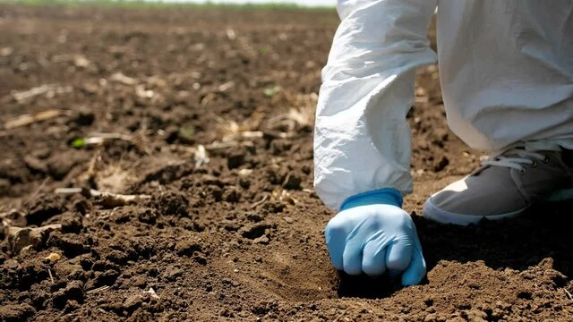 Scientist studying sample of soil in field, closeup
