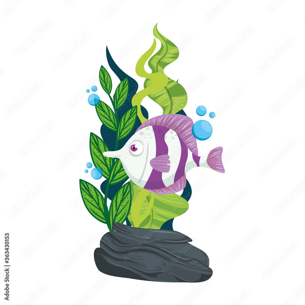 Canvas Prints sea underwater life, cute fish with seaweed on white background vector illustration design