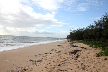 Fototapeta premium Beautiful Woodgate Beach, Queensland, Australia. Pristine beaches and beautiful weather. Waves, shore, sand and foliage