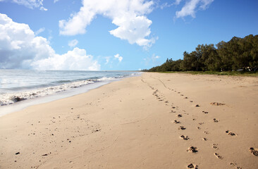 Beautiful Woodgate Beach, Queensland, Australia.  Pristine beaches and beautiful weather.  Waves, shore, sand and foliage