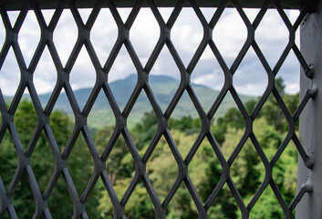 Fototapeta premium Iron bridge for tourists to see the nature below.
