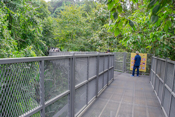 
Iron bridge for tourists to see the nature below.