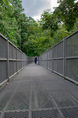 
Iron bridge for tourists to see the nature below.