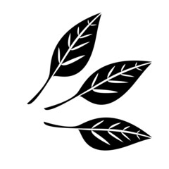 Black and White Leaf Vector for Icon, Symbol, Logo, Graphics Resource and Design