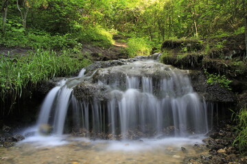 Fototapeta na wymiar Small waterfall in the forest