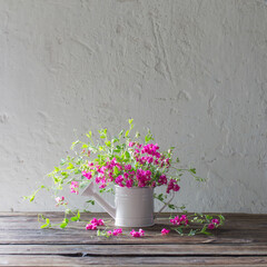 pink summer flowers in watering can on background white wall