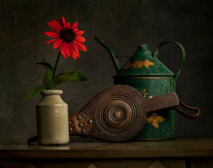 Red flower, green watering can and vintage  bellows