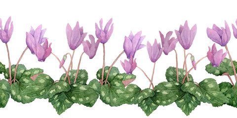 Watercolor hand drawn seamless horizontal border illustration pink violet purple cyclamen wild flowers. Forest wood woodland nature plant, realistic design leaves petals. Wedding cards, invitation. - obrazy, fototapety, plakaty