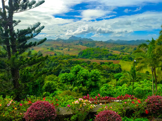 Overlooking view of the nature