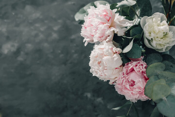 Delicate pastel peonies background close up