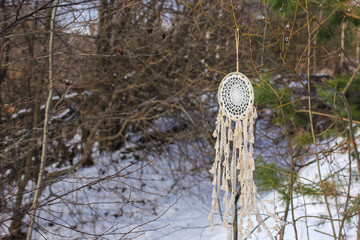 Beautiful light dream catcher hanging on a willow branch and fluttering in the wind. Boho style,...