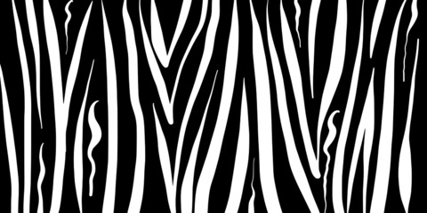 Background texture zebra pattern black and white hand drawn vector illustration isolated on white background 
