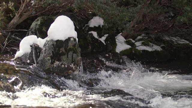 Profile view of freezing river water raging past snow covered rocks in the Australian mountains 4K