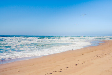Sunny sandy beach and clear blue sky on background, California Coastline