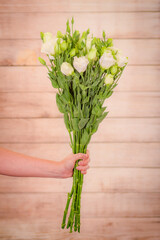 Women hand holding a bouquet of Pink Mondial roses variety, studio shot, pink flowers