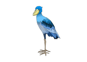 ハシビロコウ-2