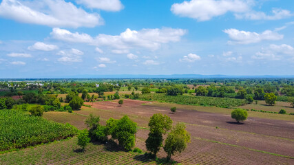 Fototapeta na wymiar Aerial top view of agriculture field