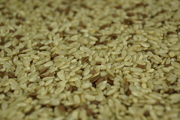 rice close up