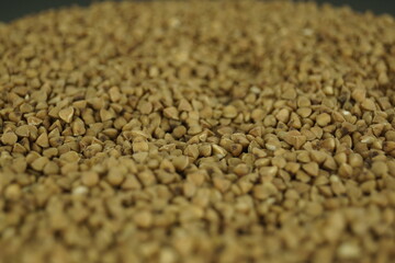 close up of buckwheat