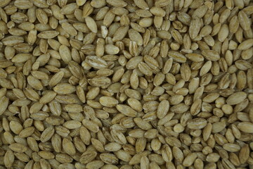 cumin seeds background