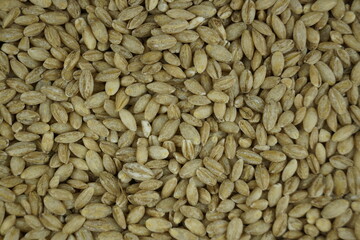 close up of cumin