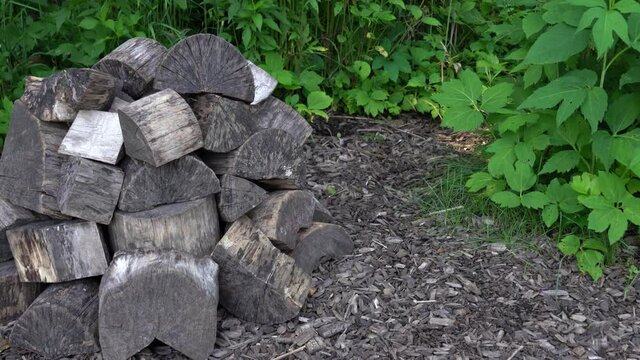 Close up vertical pan of a pile of split and sawn logs sitting on wood chips with lush green plant foliage or weeds beyond.