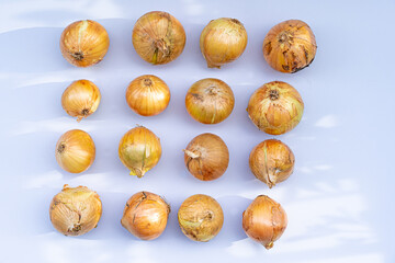 Onion fruit on a white background