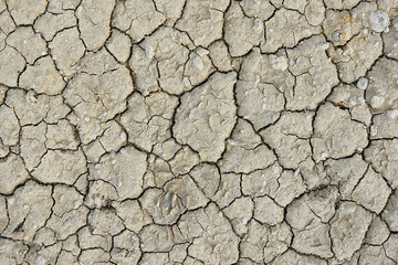 Close up of dry cracked ground for background.