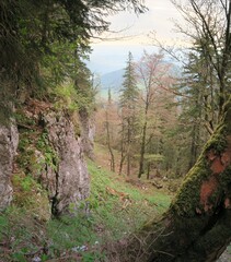 Wandern um die Gederer Wand