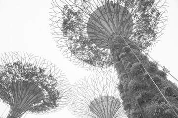 Obraz premium World famous Gardens by the bay, Singapore. Spectular light show