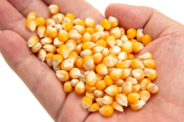 男性の手とポップコーンの種