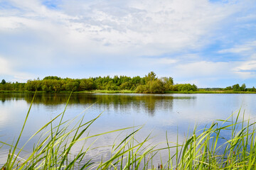 View of the lake water from the coast with trees and greenery, the horizon and blue sky with white clouds