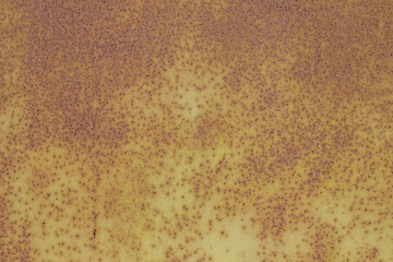 An old rusty metal surface