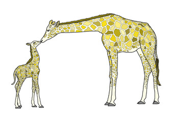 キリンの親子-B