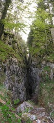 Fototapeta premium Wandern um die Gederer Wand