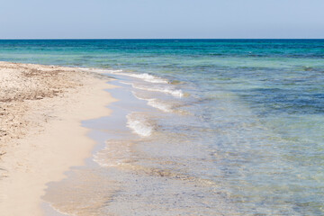 Spiaggia - Cesine - Salento