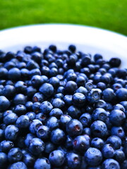 Blueberry (Vaccinium myrtillus) close-up. Berries in a white plate in the background of green grass. Forest fruits.