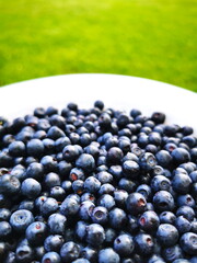 Blueberry (Vaccinium myrtillus) close-up. Berries in a white plate in the background of green grass. Forest fruits.