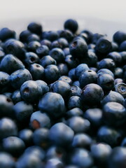 Blueberry (Vaccinium myrtillus) close-up. Blueberries in a white plate. Forest fruits.