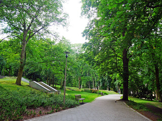 road in the park