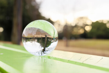 透明なガラスボールに写した静かな公園の風景