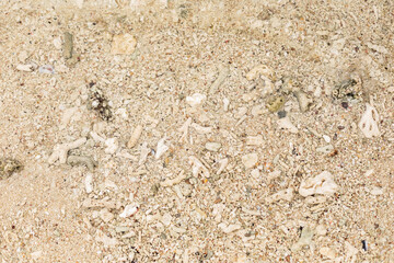 texture of sand