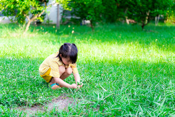 Asian little girl wearing a yellow dress sits on a grassy field in the evening when sunlight shines through some of the leaves. Children play and learn with nature concept. Cute child aged 5 years old
