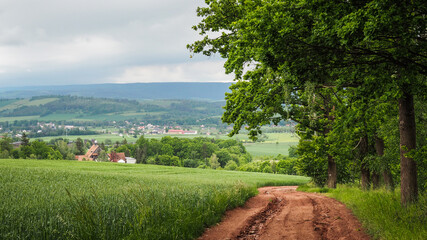 En route Main Sudetes Trail in Poland