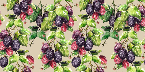Watercolor botanical seamless blackberry pattern.