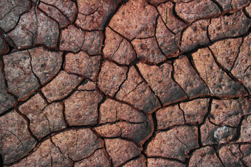 dry earth texture