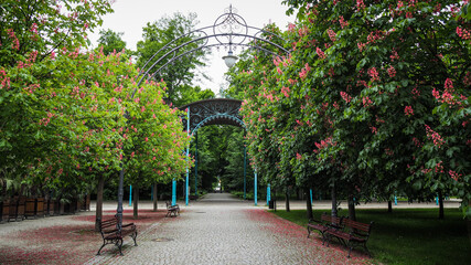 Kudowa Zdrój in Lower Silesia, Poland
